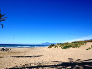 Local Sandy Beach