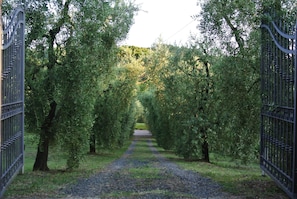 Jardines del alojamiento