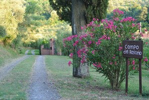 Jardines del alojamiento