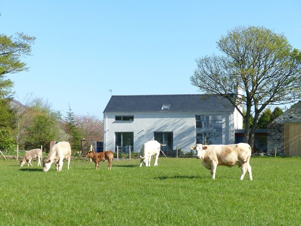 Number 1 Barn Lane