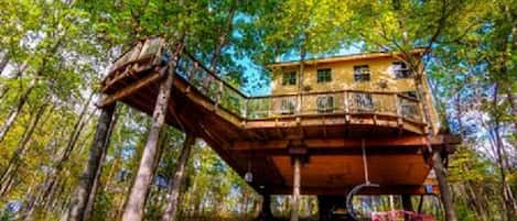 underneath tree house swing and fire pit