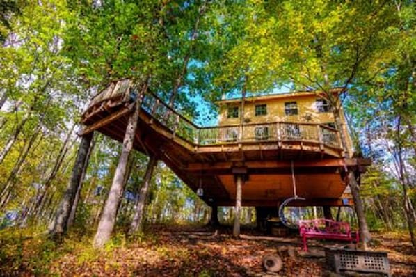 underneath tree house swing and fire pit