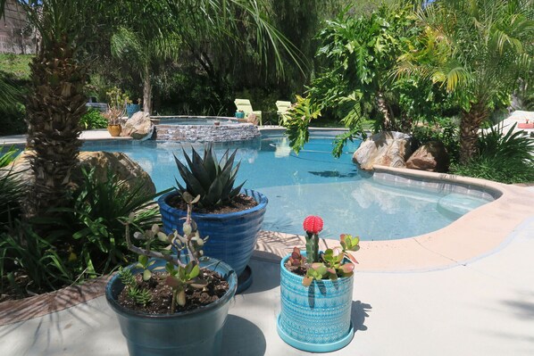 You will love our tropical pool area!