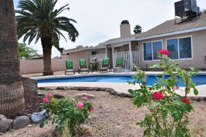 Backyard, pool area.