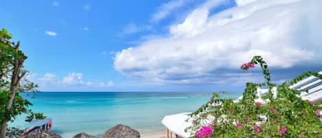 Property Beachfront View.