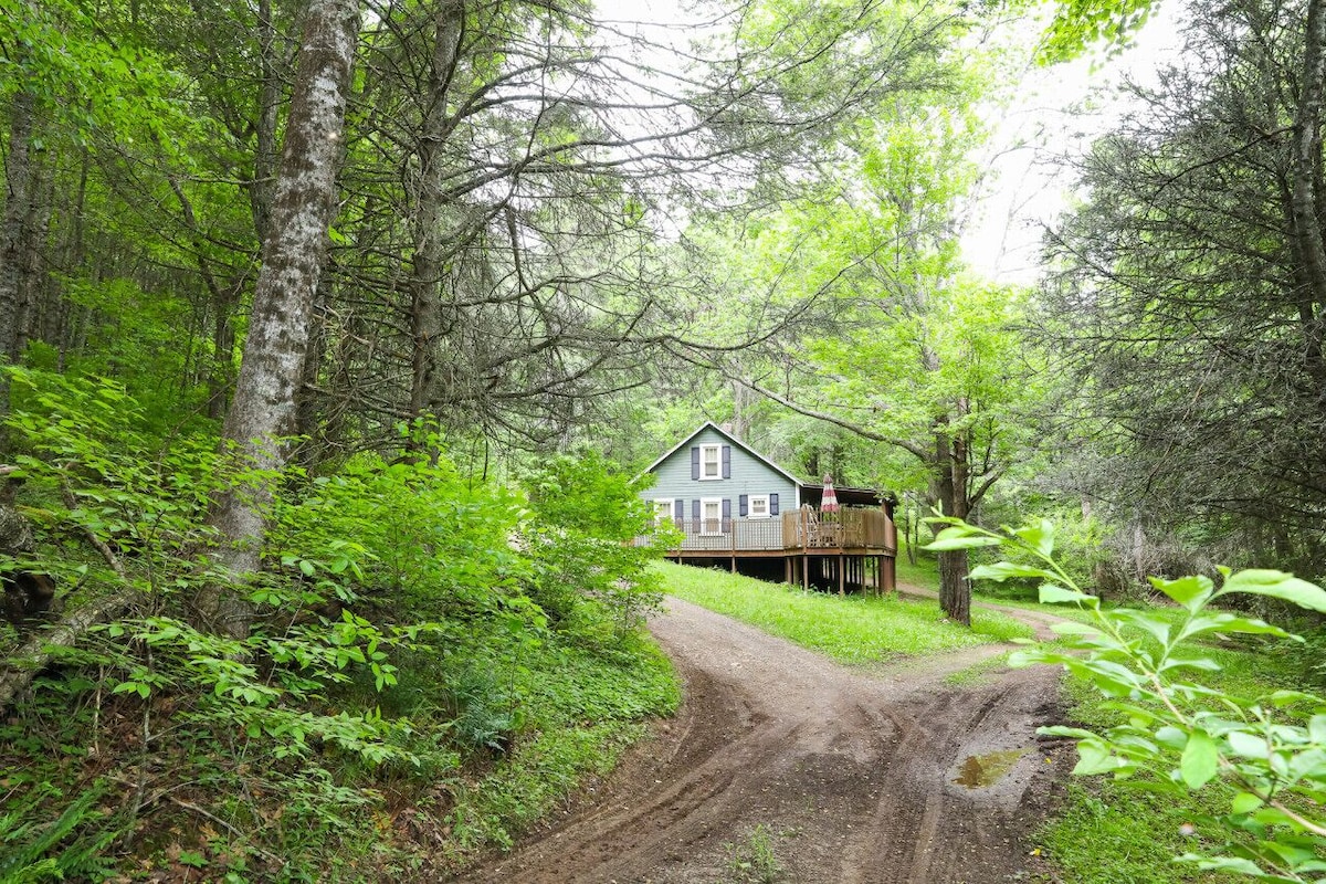 Main Image
