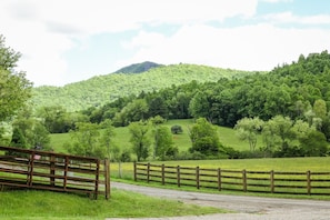 The view of Buffalo Mountain from the yard