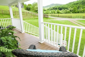 The view of Buffalo Mountain from the porch
