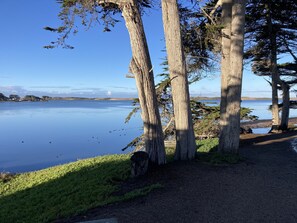 Sekalaista