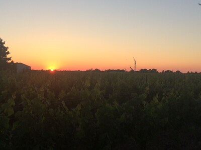 Fabulous Guesthouse B & B Located In The Heart Of Vineyard Country!