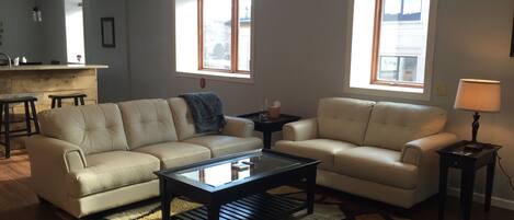 Newly remodeled loft in downtown Decorah. Large living room & open kitchen. 