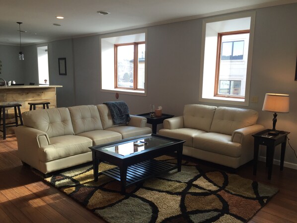 Newly remodeled loft in downtown Decorah. Large living room & open kitchen. 