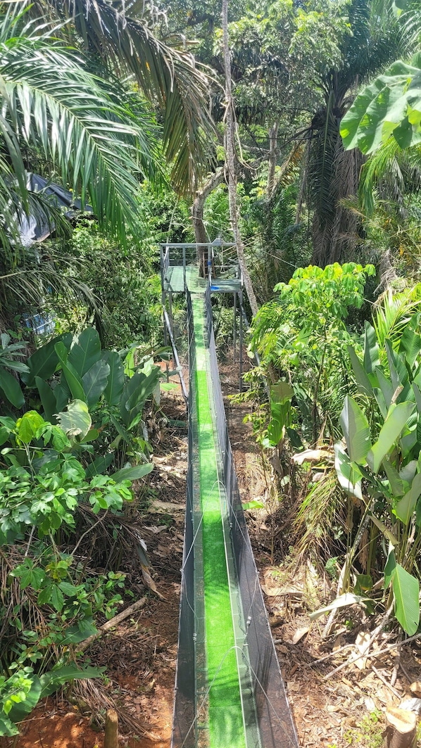 Tarzan Jungle Home's Indiana Bridge Jones and New zipline is up!