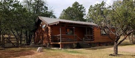 South Side of Cabin