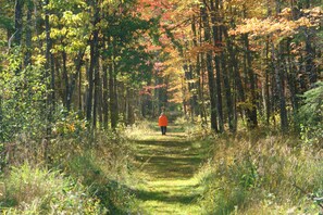 Walking on the Trails