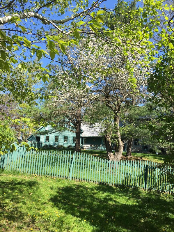 Side view of the house.