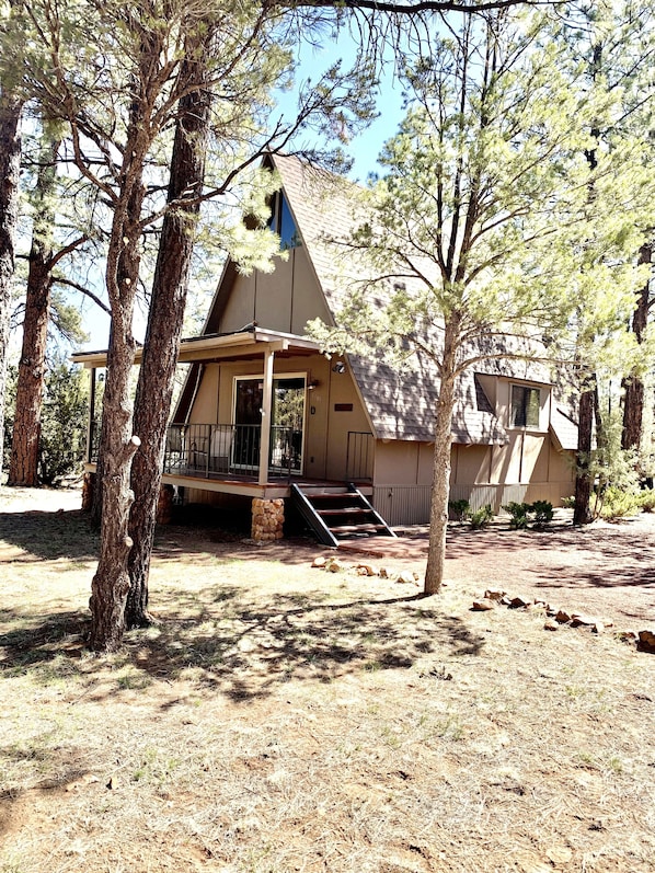 Front of cabin from driveway.