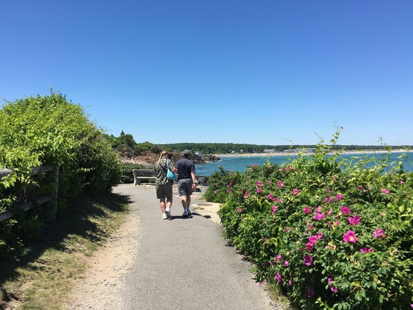 "Marginal Way" walking path from Ogunquit center to Perkins Cove