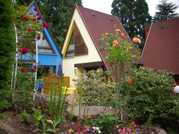 Exteriör