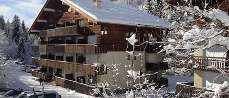 Castel des Neiges
chalet B et parking privé.