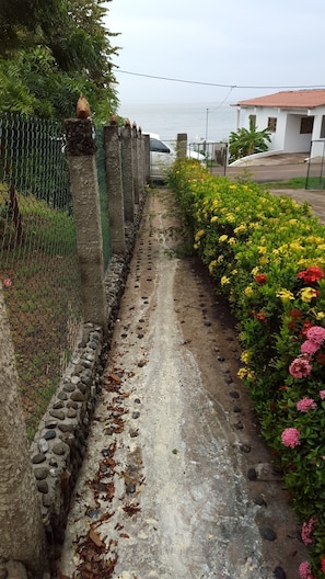 Walking path to the beach