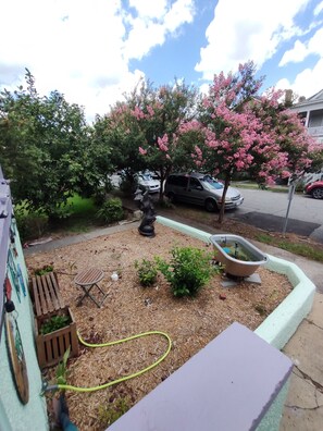 front yard