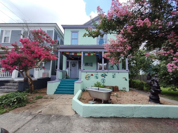 front yard