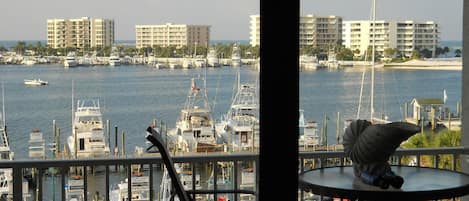 photo of the harbor from our building