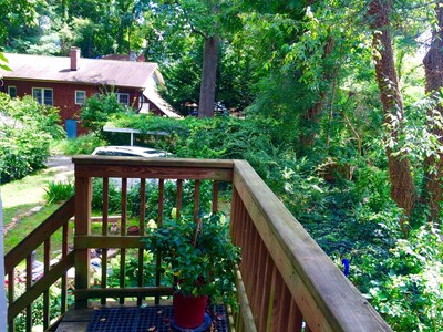 Close to Everything Asheville! Small Deck, Wooded Trails to UNCA, Garden View
