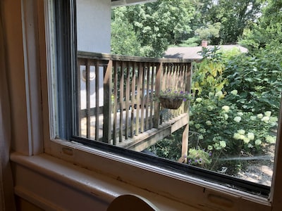 Close to Everything Asheville! Small Deck, Wooded Trails to UNCA, Garden View