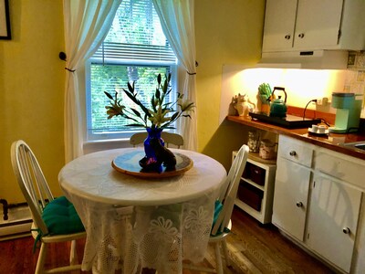 Close to Everything Asheville! Small Deck, Wooded Trails to UNCA, Garden View