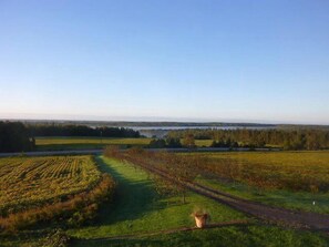 .View from master bedroom