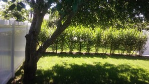 Tree lined front with new privets and fenced all the way around for privacy