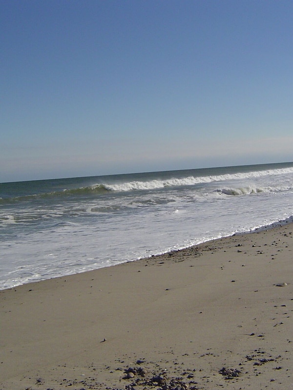 The ocean/beach