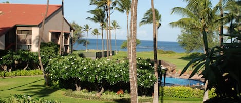 View from lanai