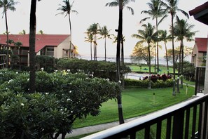 View from lanai
