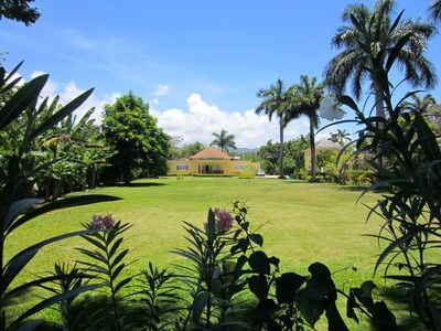 Picture of villa