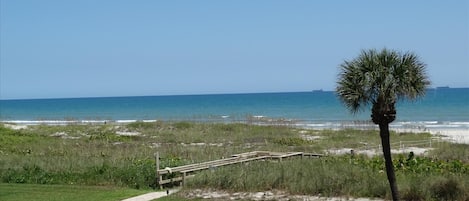Playa