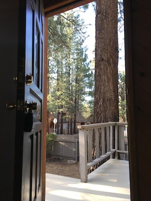 Qutet neighborhood in the TALL PINES!