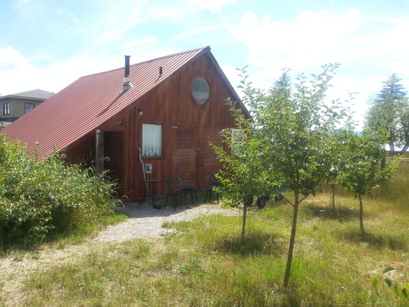 Fruit Trees and golden currants grow near the entry