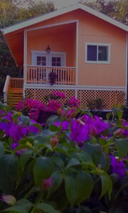 Oceanfront Cottage w/ AC @ Kehena Beach, Hawaii