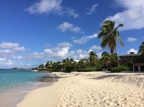 Best part of Seven Mile beach is less than a hundred yards away