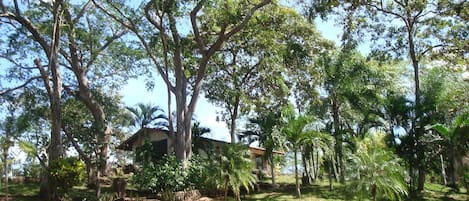 CASA AZUL, PLAYA GRANDE