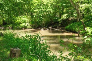 View at creek side