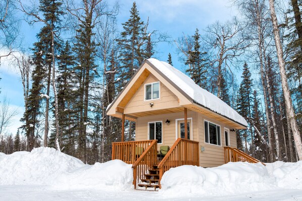 Talkeetna in March!
