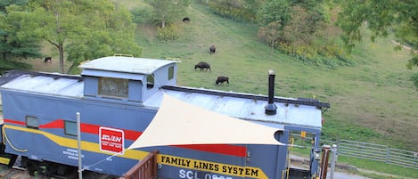 See the bison in the field!  Enjoy your morning coffee on the nice large deck