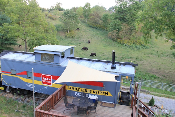 See the bison in the field!  Enjoy your morning coffee on the nice large deck