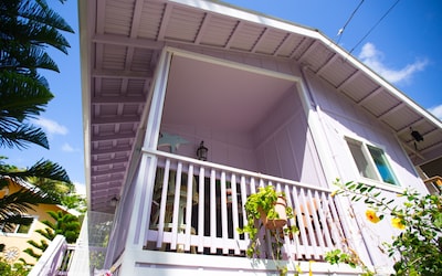 Dolphin Cottage w/ AC @ Kehena Beach, Hawaii