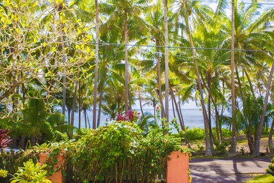 Dolphin Cottage w/ AC @ Kehena Beach, Hawaii