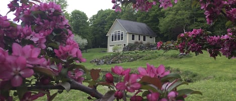 Spring in Vermont...soon to become a glorious summer. 